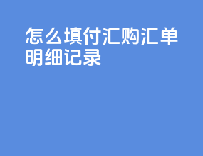 怎么填付汇购汇单明细记录