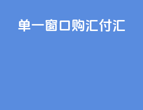单一窗口购汇付汇