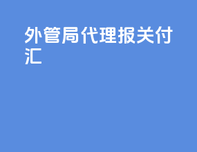 外管局-代理报关付汇