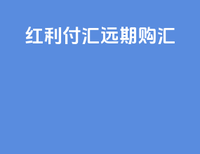 红利付汇远期购汇