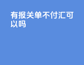 有报关单不付汇可以吗