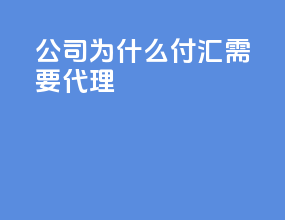 公司为什么付汇需要代理
