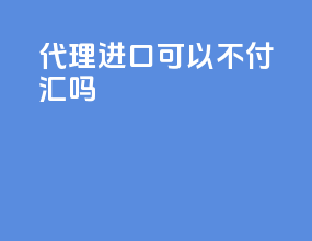代理进口可以不付汇吗