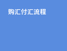 购汇付汇流程