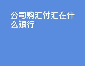 公司购汇付汇在什么银行