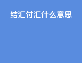 结汇付汇什么意思