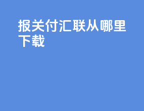 报关付汇联从哪里下载
