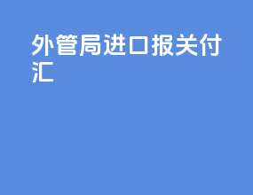 外管局进口报关付汇