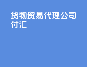 货物贸易代理公司付汇