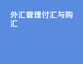 外汇管理 付汇与购汇