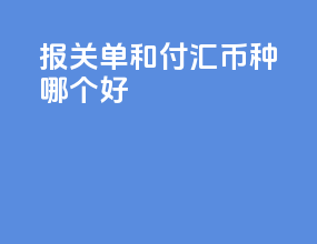 报关单和付汇币种哪个好