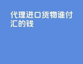 代理进口货物谁付汇的钱