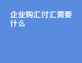 企业购汇付汇需要什么