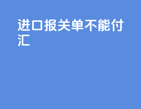 进口报关单不能付汇