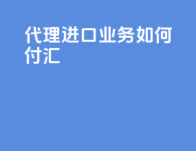 代理进口业务如何付汇