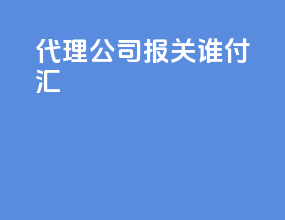 代理公司报关 谁付汇