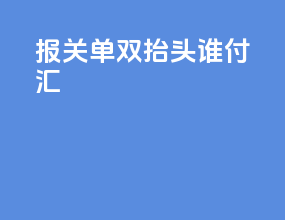 报关单双抬头谁付汇6