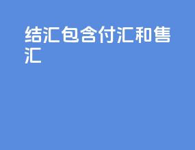 结汇包含付汇和售汇