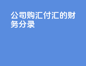 公司购汇付汇的财务分录