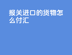 DHL报关进口的货物怎么付汇