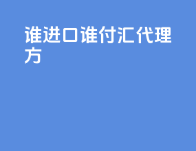 谁进口谁付汇 代理方