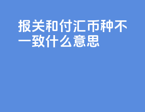 报关和付汇币种不一致什么意思