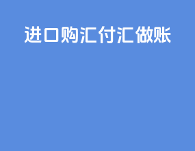 进口购汇付汇做账