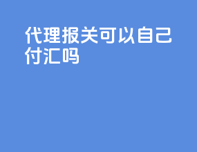 代理报关可以自己付汇吗