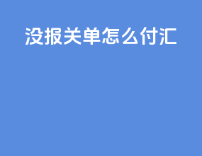 没报关单怎么付汇
