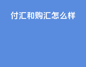 付汇和购汇怎么样