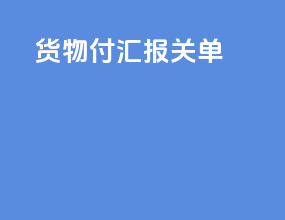 货物付汇报关单
