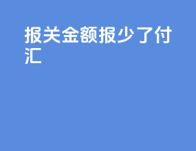 报关金额报少了 付汇