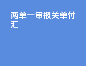 两单一审报关单付汇6