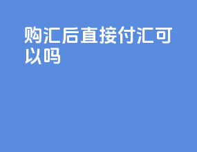 购汇后直接付汇可以吗
