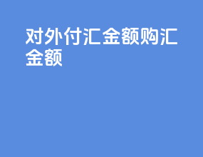 对外付汇金额 购汇金额