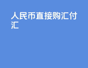 人民币直接购汇付汇