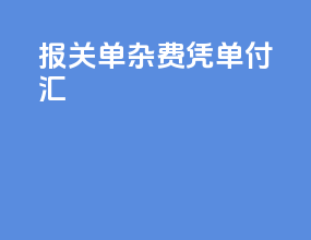 报关单杂费凭单付汇