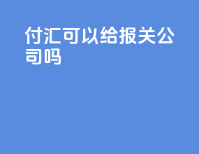 付汇可以给报关公司吗