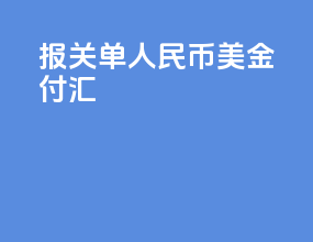 报关单人民币 美金付汇