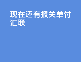 现在还有报关单付汇联