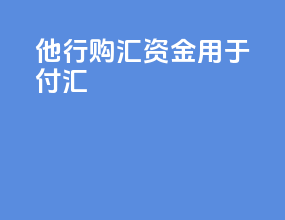 他行购汇资金用于付汇