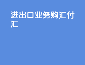 进出口业务购汇付汇