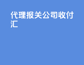代理报关公司收付汇