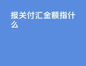 报关付汇金额指什么