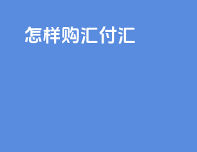 怎样购汇付汇