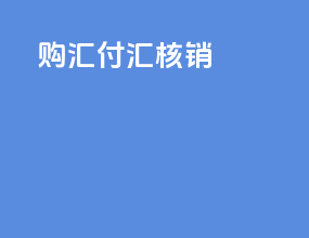 购汇付汇核销