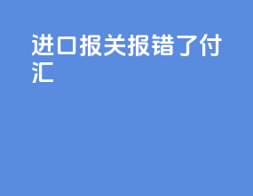 进口报关报错了 付汇