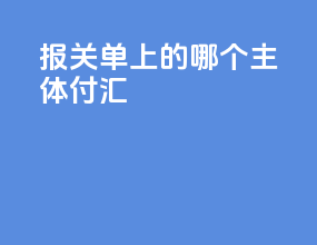 报关单上的哪个主体付汇