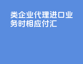 b类企业代理进口业务时相应付汇