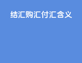 结汇 购汇 付汇含义